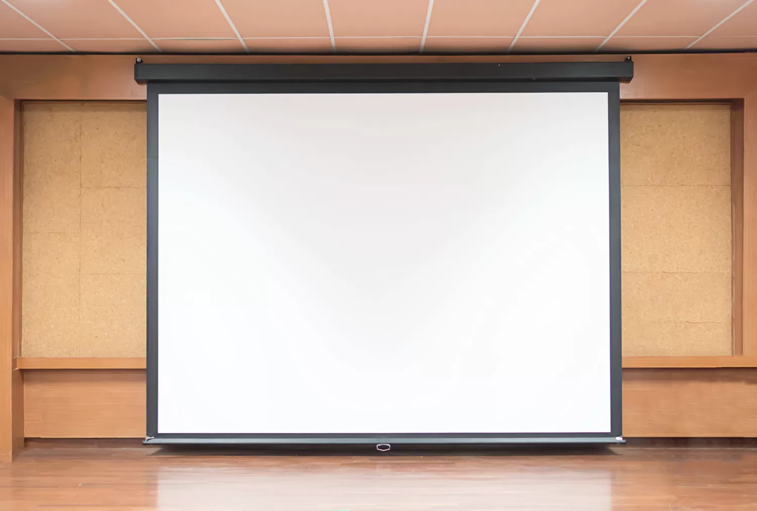 projector screen